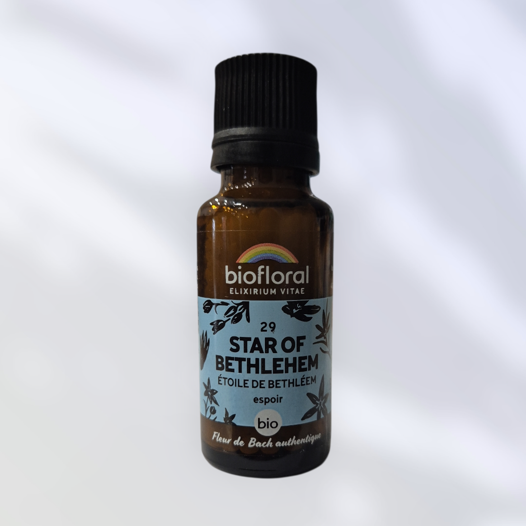 Fleur de Bach Star of Bethlehem Les Secrets d'Hygie